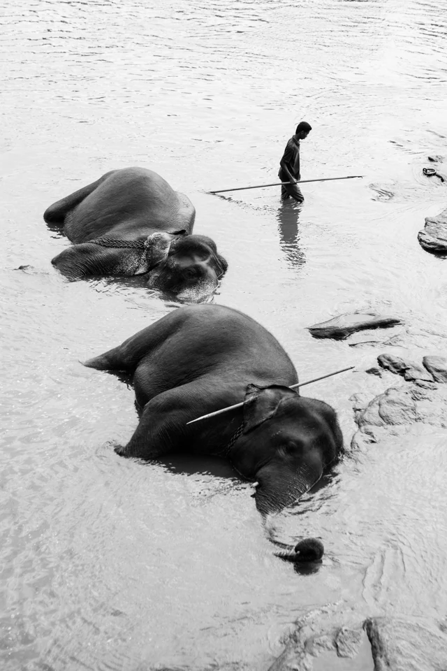 Monochrome Awards — photograph by Pedro Ribeiro